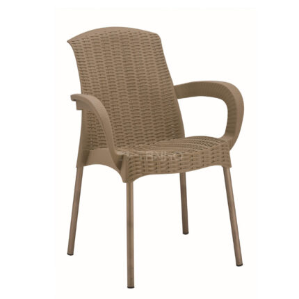 TH-080 Plastic Rattan Chair